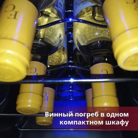 Купить отдельностоящий винный шкаф Cold Vine C6-TBSF1